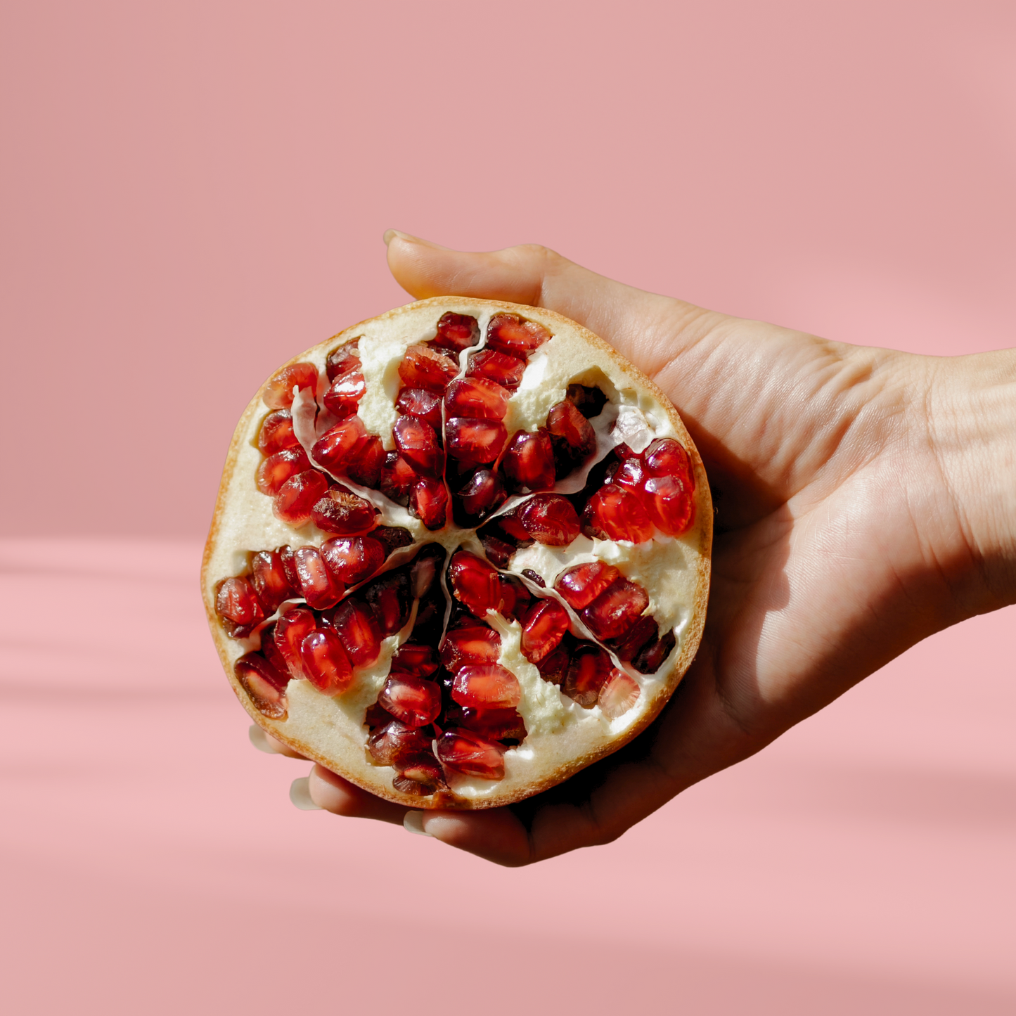 KOMBUCHA+ 9-PACK POMEGRANATE