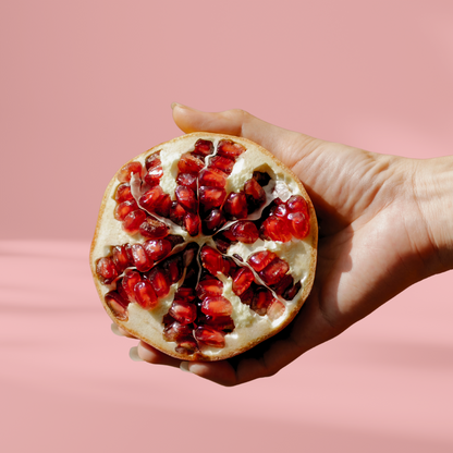 KOMBUCHA+ 9-PACK POMEGRANATE