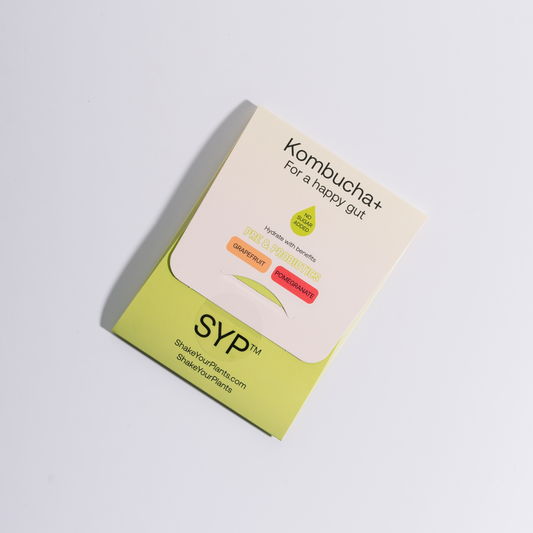 Kombucha+ Trial Pack