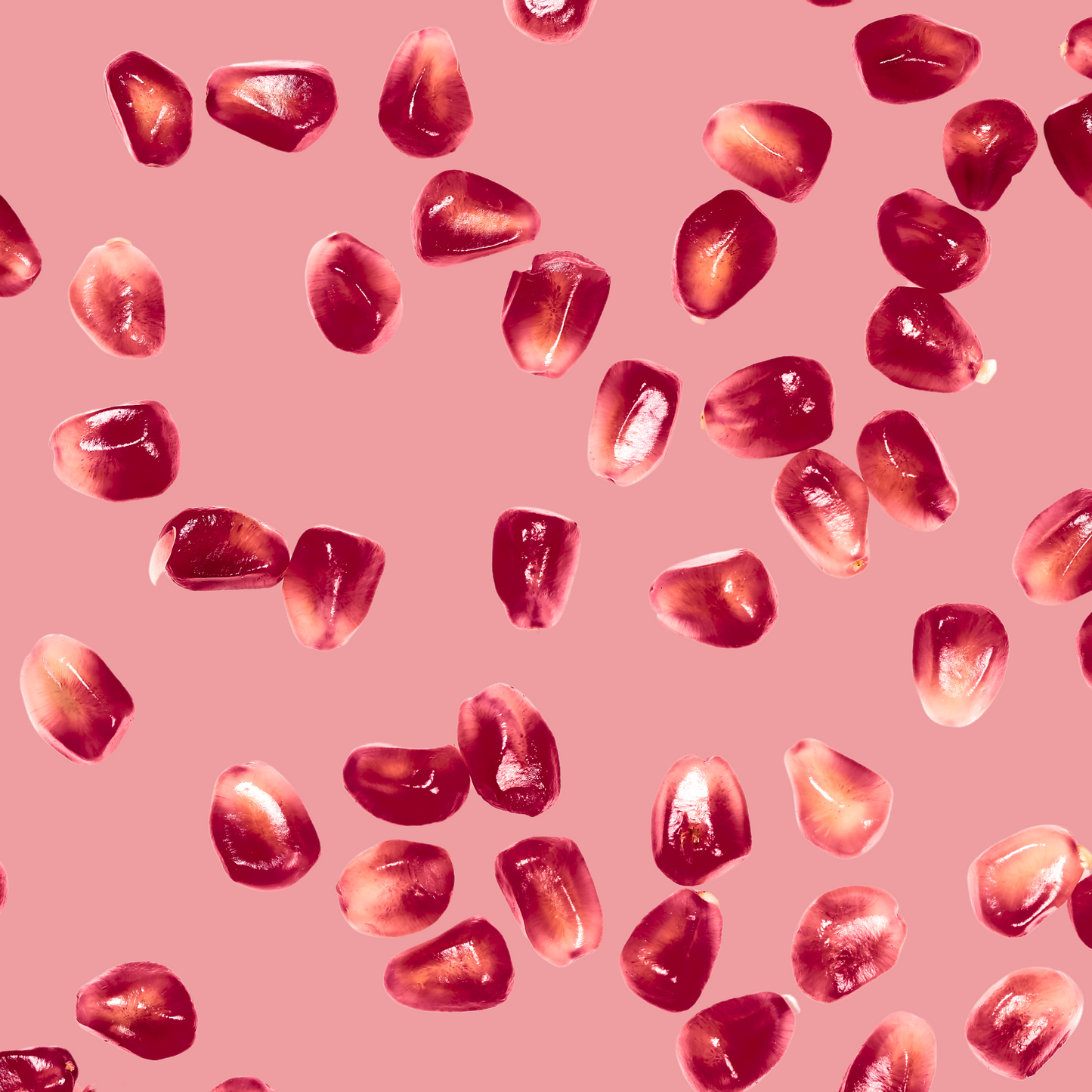 KOMBUCHA+ 9-PACK POMEGRANATE